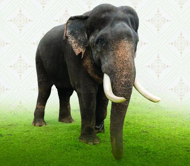 Sriram